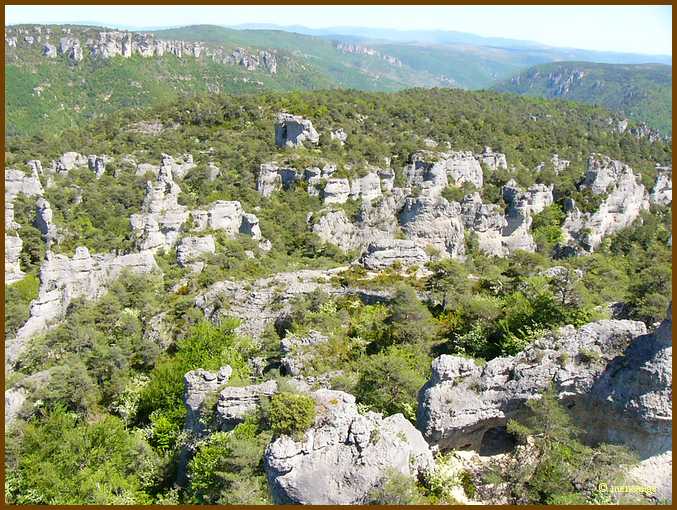 001_Vue générale.JPG