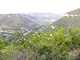 001_Gorges du Tarn.JPG