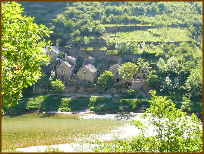 005_Le Tarn.JPG