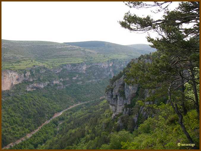 002_Site de Dargilan.JPG